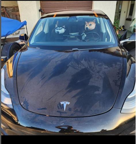 2021-Tesla-Model-3-4d-WINDSHIELD-replacement